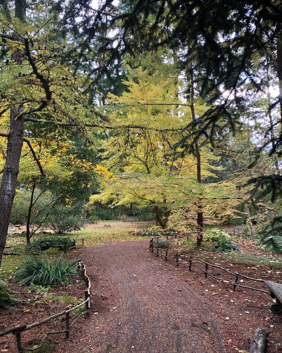 Kruckeberg Botanic Garden