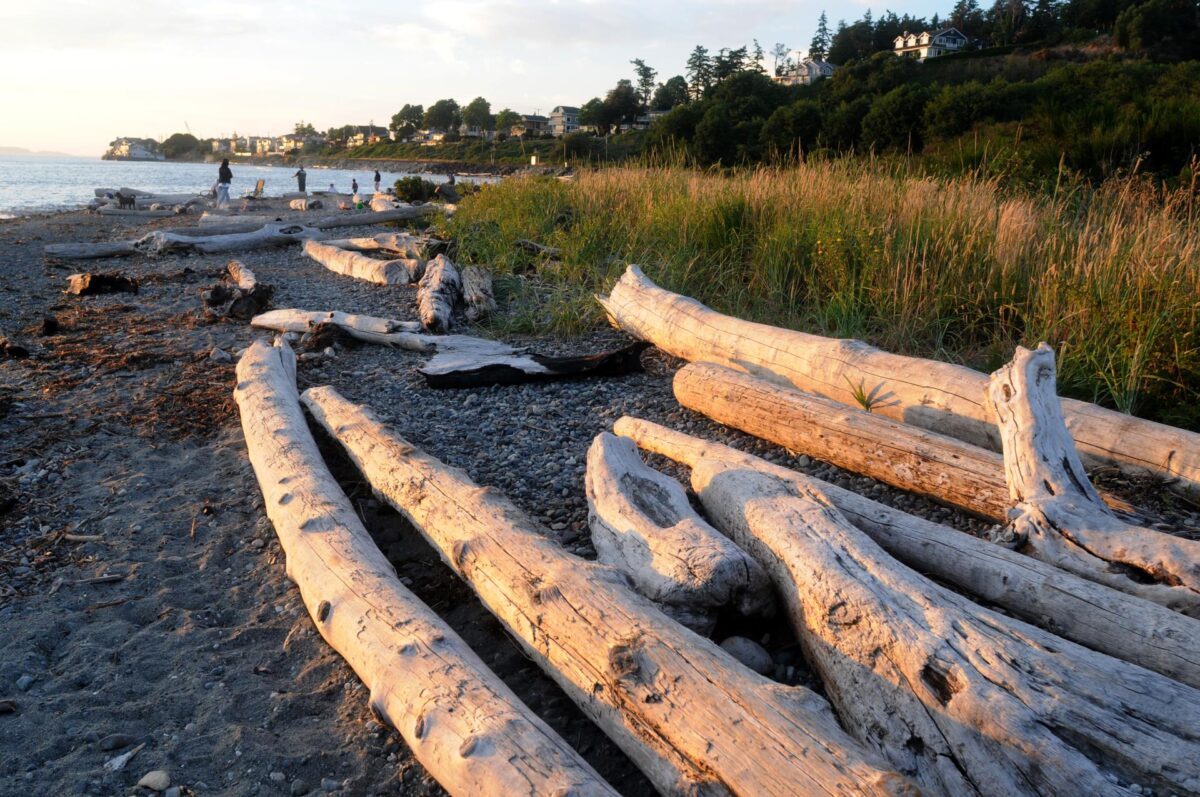 Richmond Beach Saltwater Park