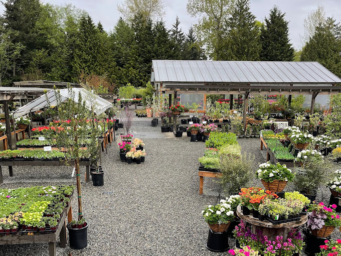 Wells Medina Nursery