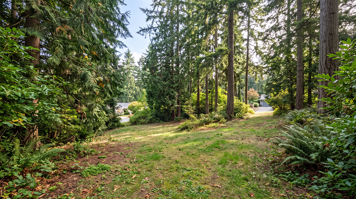 An undeveloped residential property that looks like a realistic Eastside custom home opportunity.